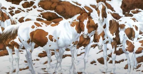 Optische Täuschung: Versuchen Sie zu identifizieren, wie viele Pferde auf dem Foto stehen.