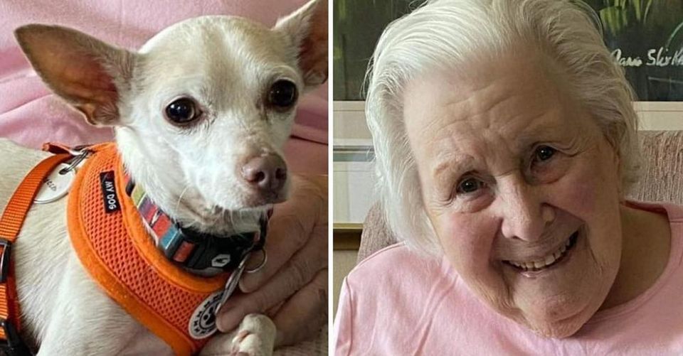 Niemand will alte Hunde – doch dann springt die 100-jährige Tierliebhaberin ein und zeigt, was wahre Liebe ist
