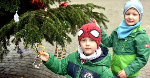 Problem Deko? Verzicht auf Weihnachtsbaum in Hamburger Kita sorgt für Eklat
