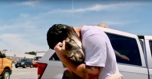 Ein US-Soldat rettet einen Hund, den er im Irak zurücklassen musste, und bringt ihn nach Kalifornien